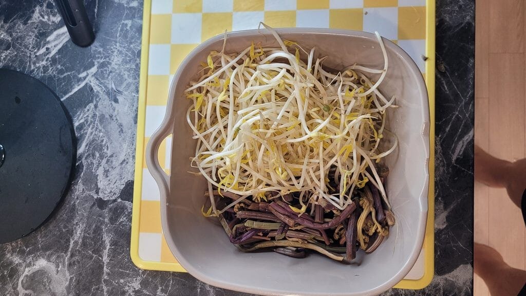 Parboiled gosari and mung bean sprouts for Korean spicy beef soup